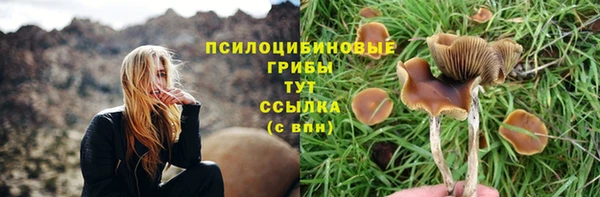 твердый Абинск