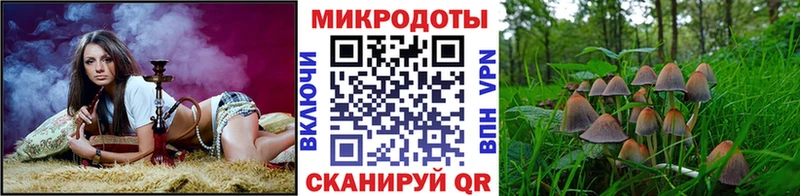наркота  kraken как зайти  Псилоцибиновые грибы мицелий  Иваново 